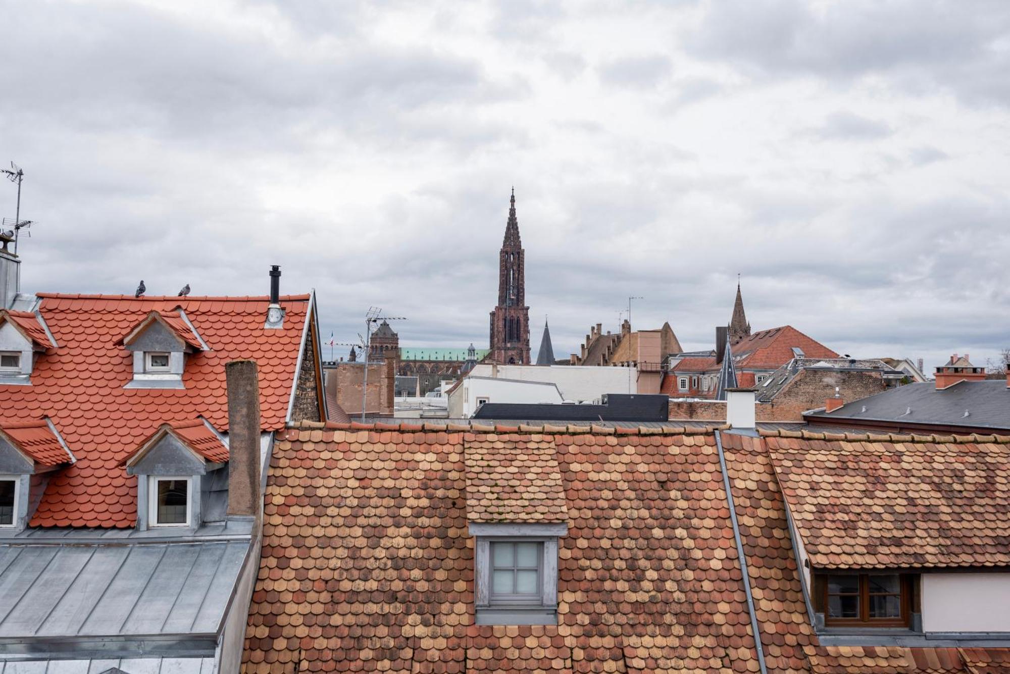 Le Schoepflin - Coeur De Strasbourg - Vue Toits المظهر الخارجي الصورة
